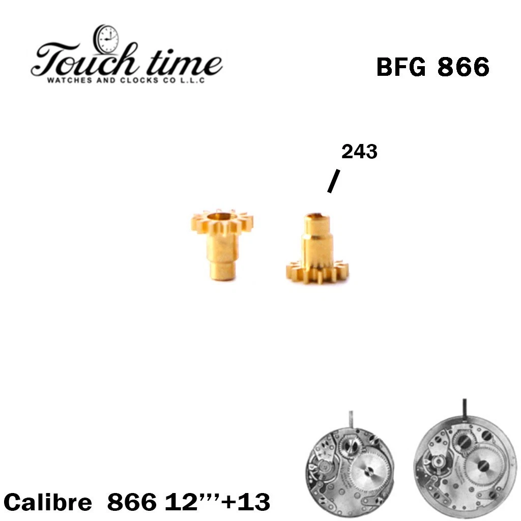 BFG 866 Cannon Pinion – 2 PCS – Part Number 243 – Gold – Swiss Made